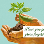 Have you got green fingers
