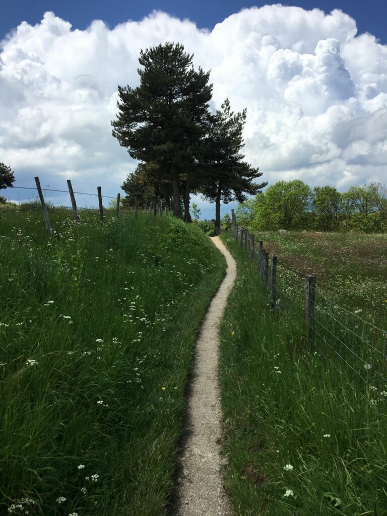Chemin étroit2